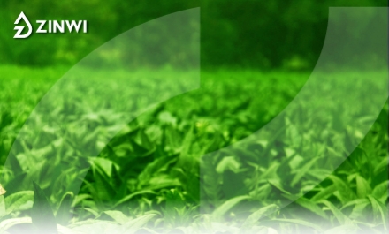 Zinwi Bio Dual Synergy Flavor Formulation System: Value Analysis of Natural Extracts & Synthetic Aromatics Blending