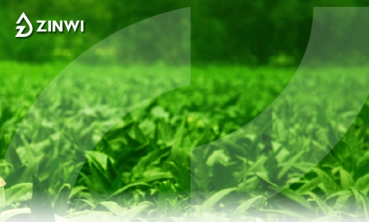Zinwi Bio Dual Synergy Flavor Formulation System: Value Analysis of Natural Extracts & Synthetic Aromatics Blending