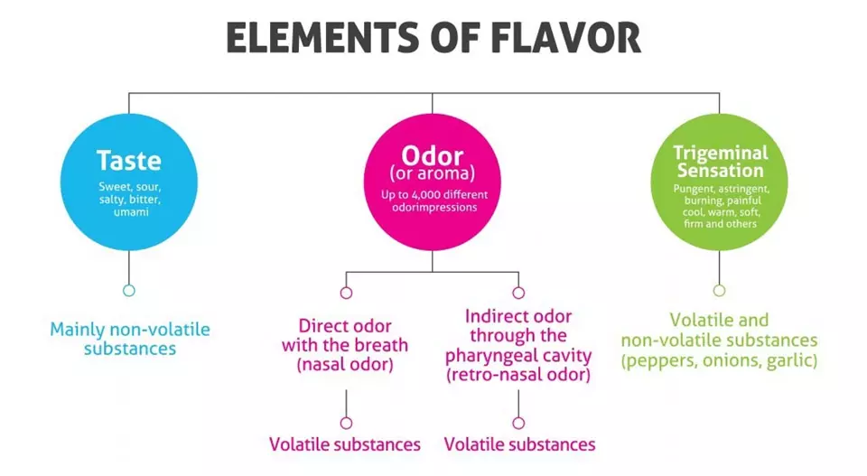 The senses of smell, taste and trigeminal nerve are integrated and work together to form our comprehensive perception of flavor.