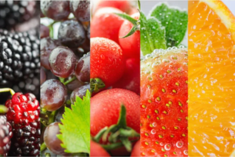Zinwi Biotech e-liquid products:  02 Fruit flavor (customized version)