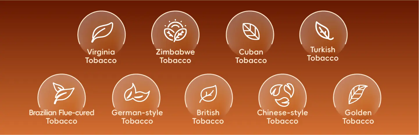 Global Tobacco Flavor Solutions-zinwi
