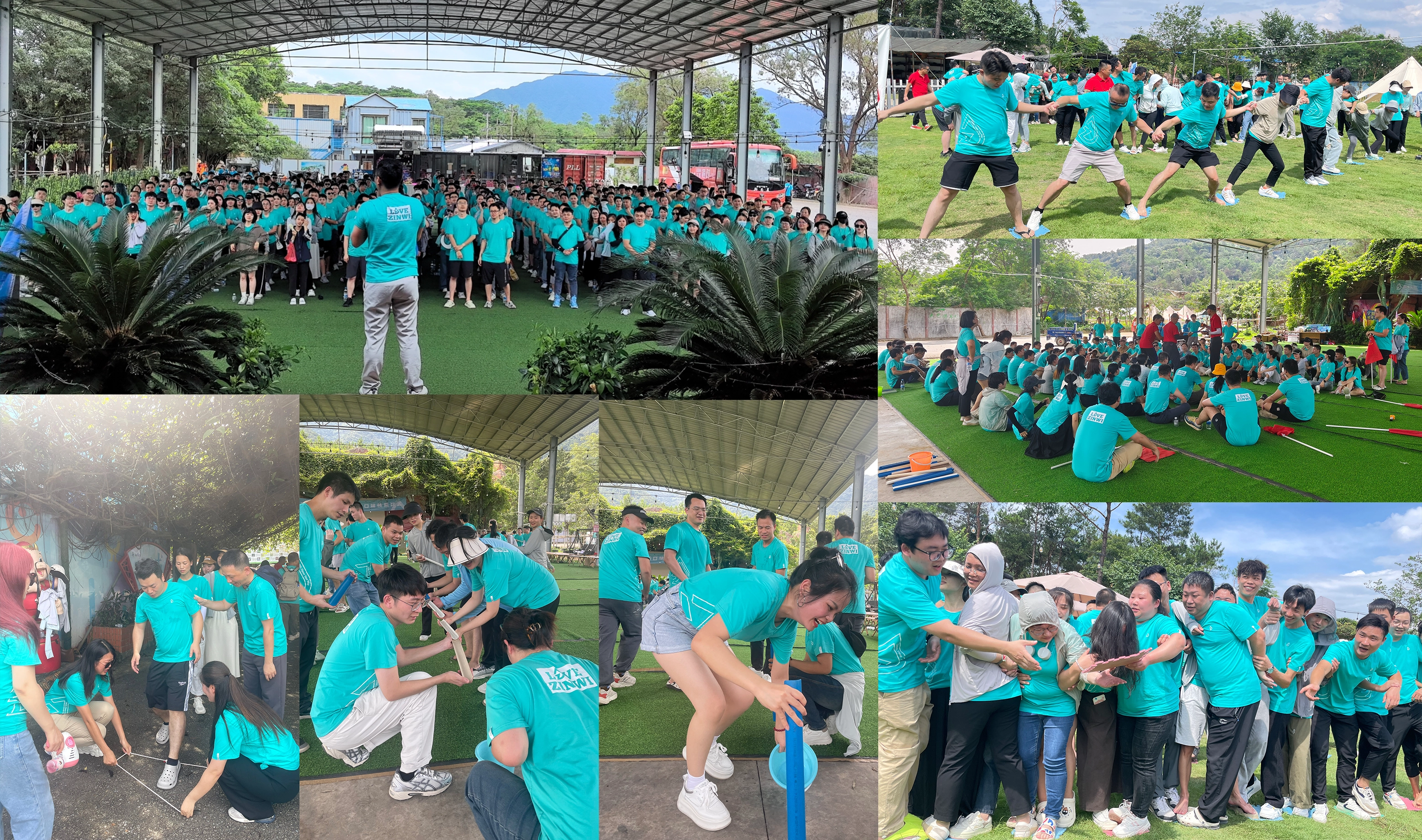 Zinwi Biotech's Summer Team Building Highlight Review