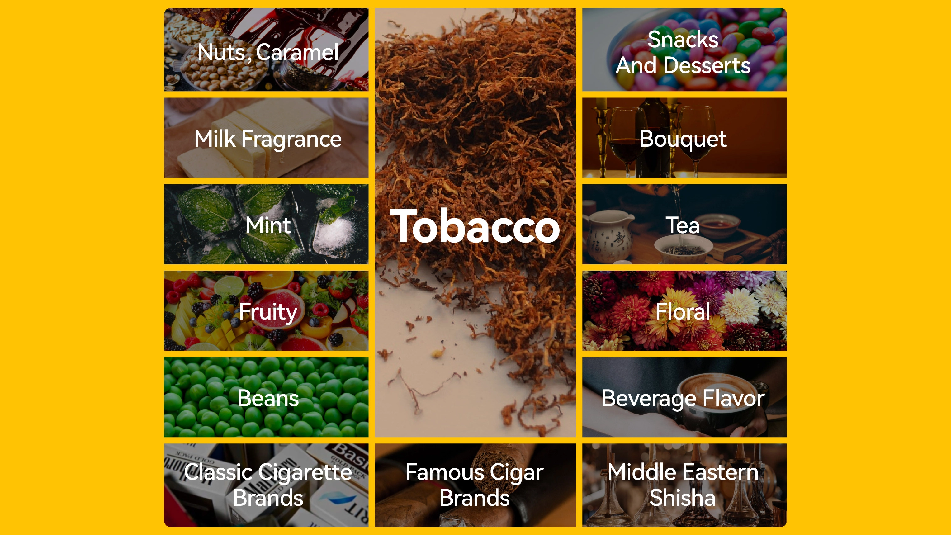 The Journey of Enhancing the Sensory Experience of Tobacco-Flavored Products at Zinwi Bio 