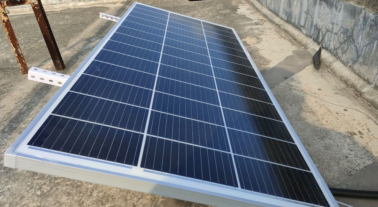Zinwi Bio Awarded "2025 Shenzhen Green Factory" Title