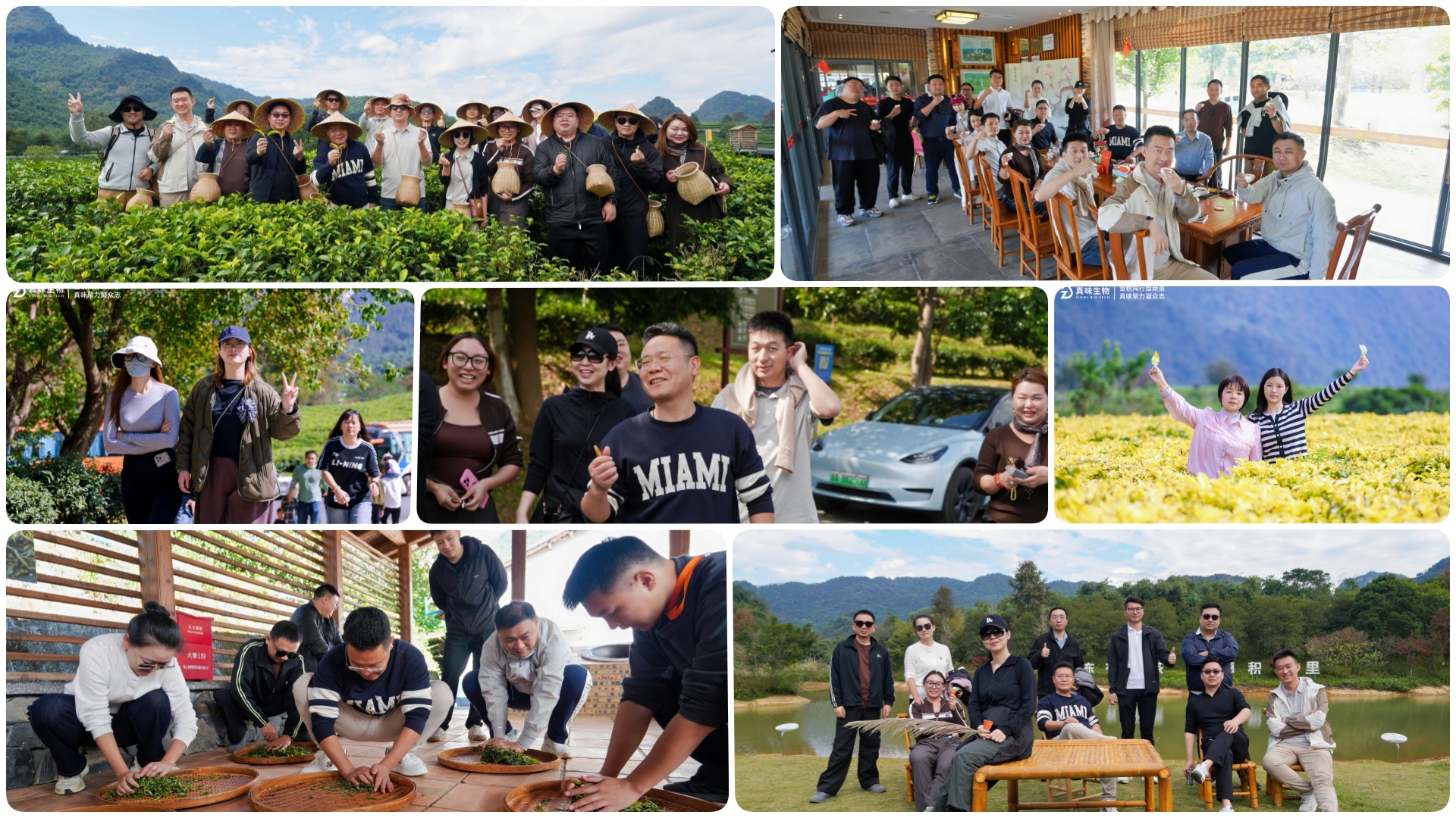 Zinwi Hosts 2025 Team-Building Event Zinwi Hosts 2025 Team-Building Event