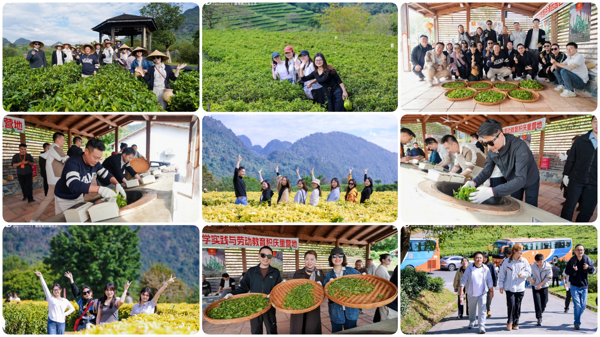 Zinwi Hosts 2025 Team-Building Event Zinwi Hosts 2025 Team-Building Event