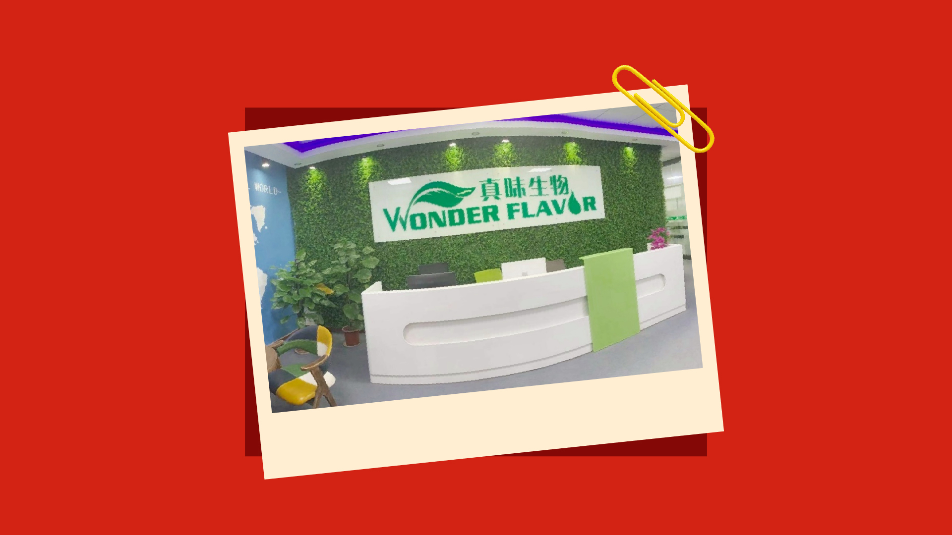 Zinwi Bio 10th Anniversary: Grateful Together, Forward Together