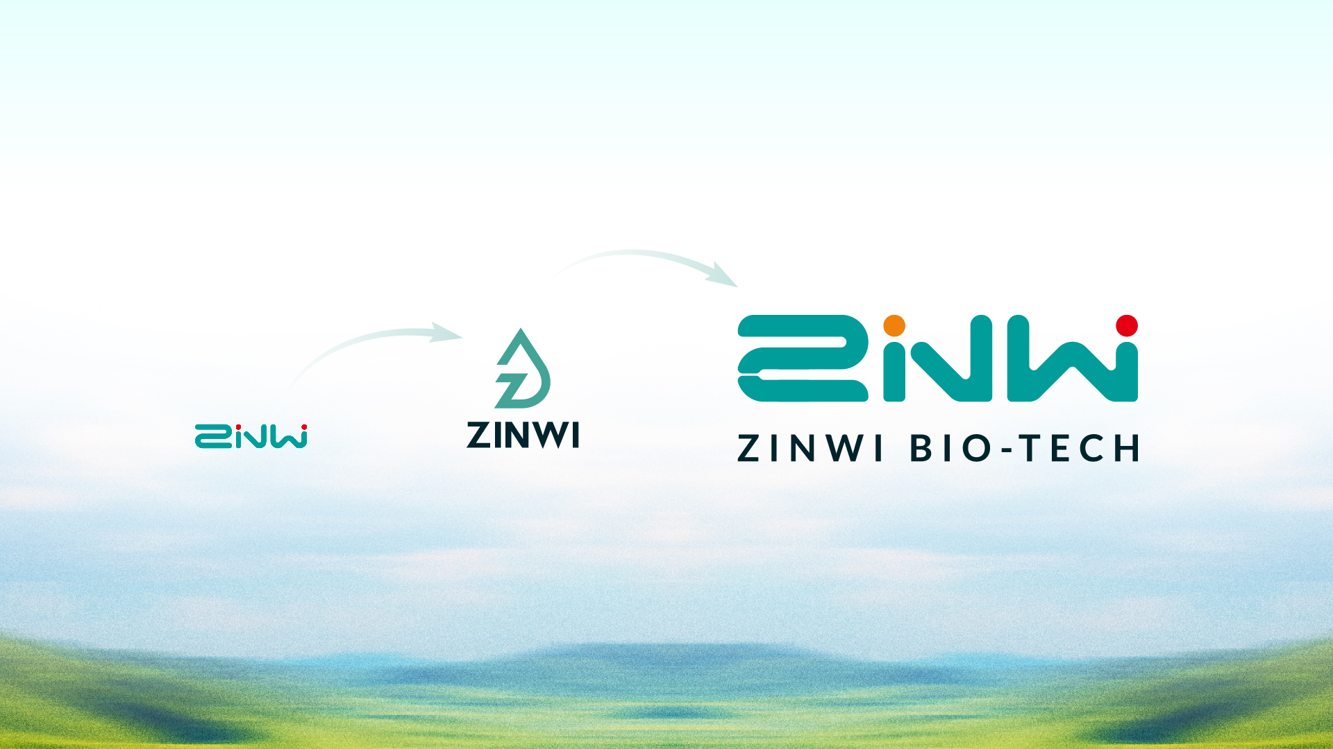 zinwi new logo zinwi new logo